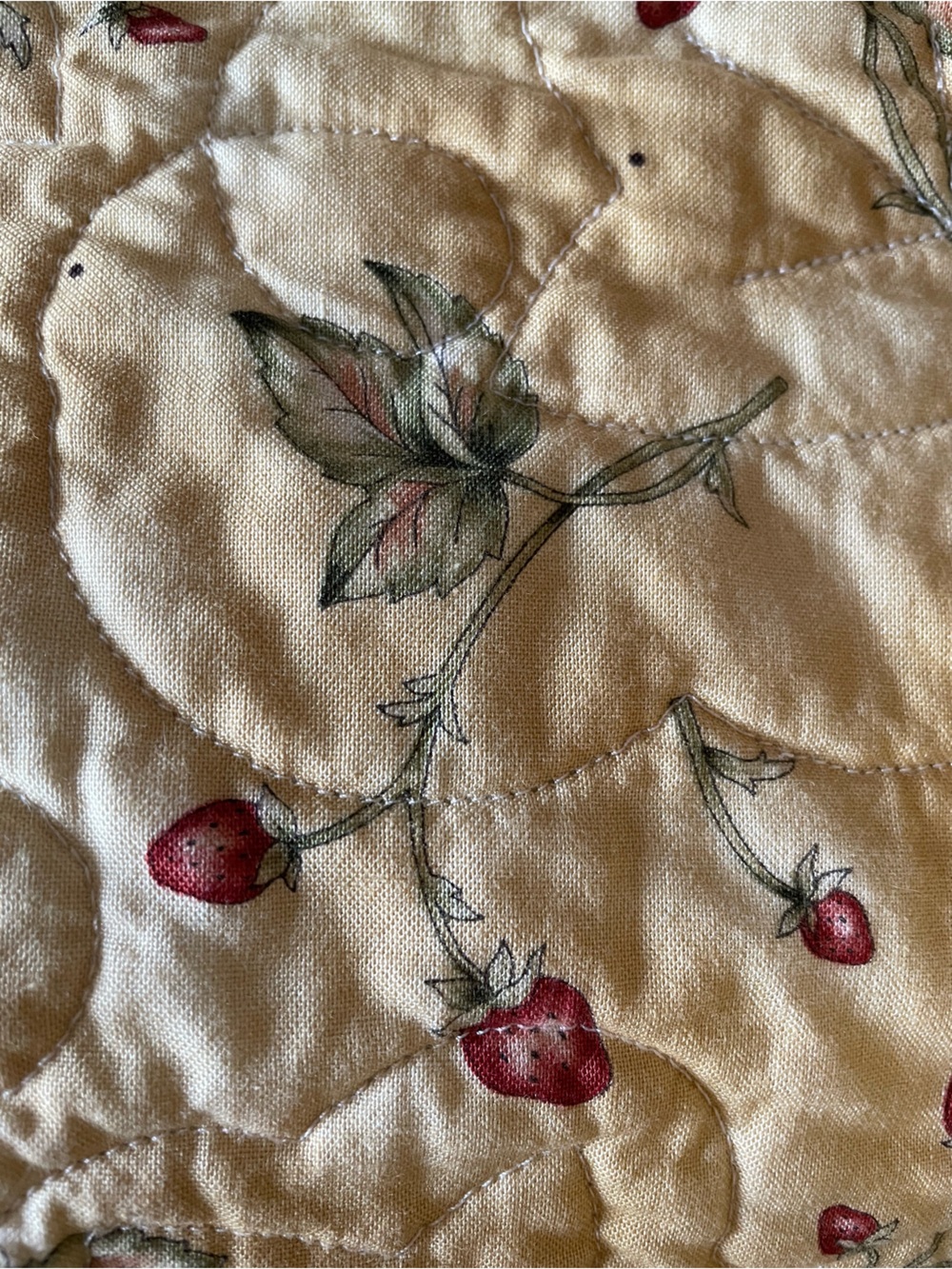 Handmade Quilt Pride of the Prairie Green Strawberries Cottagecore Cozy 55x45 - Picture 7 of 8